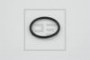 PE Automotive 031.139-00A Seal Ring